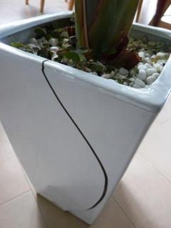 I[KX^ꂽ.JPG